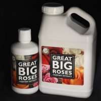 Great Big Roses Compost Extract
